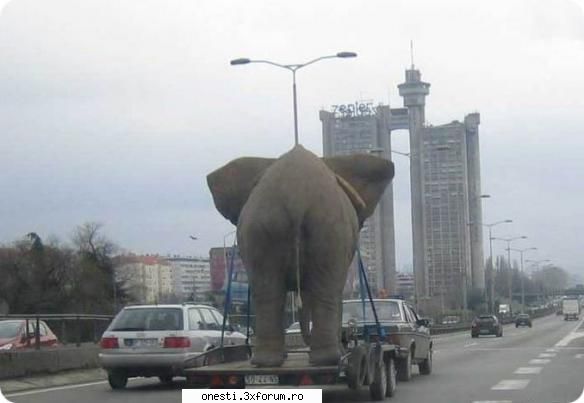 ... transport important