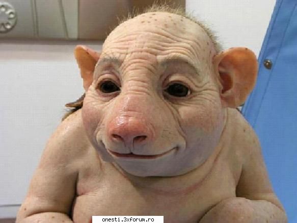 ... :rotfl:  :rotfl:  :rotfl: efectul gripei porcine