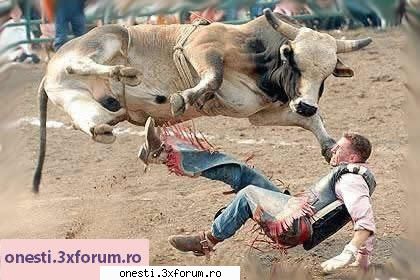 Taur - ))))=)))))=)))) - Imagini